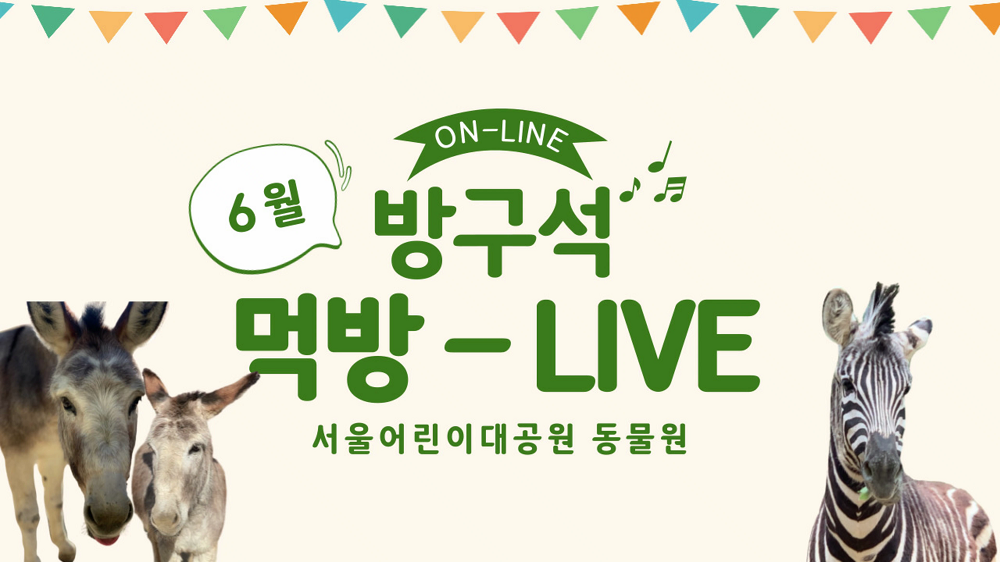 6월 동물원 먹방-LIVE 사진