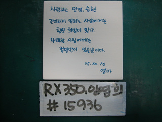 김봉구(현대건설)(RX350) 사진