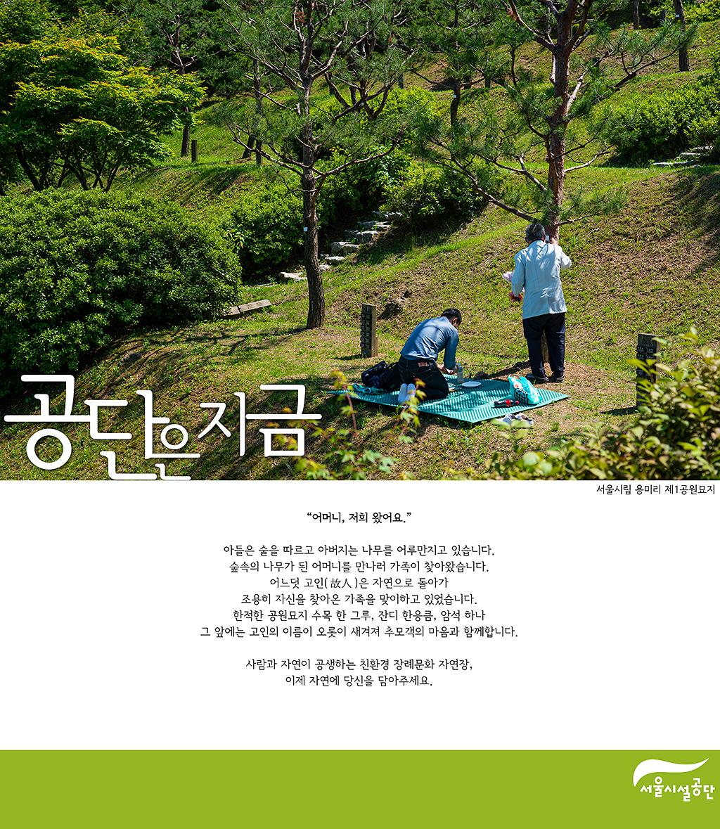 [공단은 지금] 푸른 바람 불어오는 서울시립 용미1묘지 사진