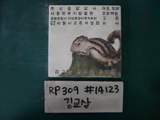 김교상(RP309) 사진
