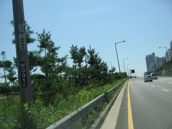 강변북로(난지방향) 천호대교 지난 10M 사진