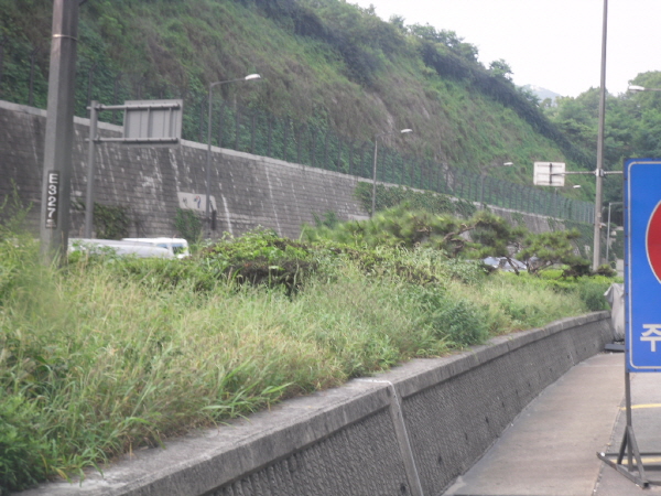 내부순환로(성동방향) 홍지문 터널 시점 지난 1800M 사진