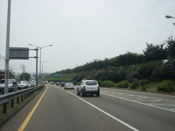 서부간선도로(시흥방향) 신정지하차도 지난 240M 사진